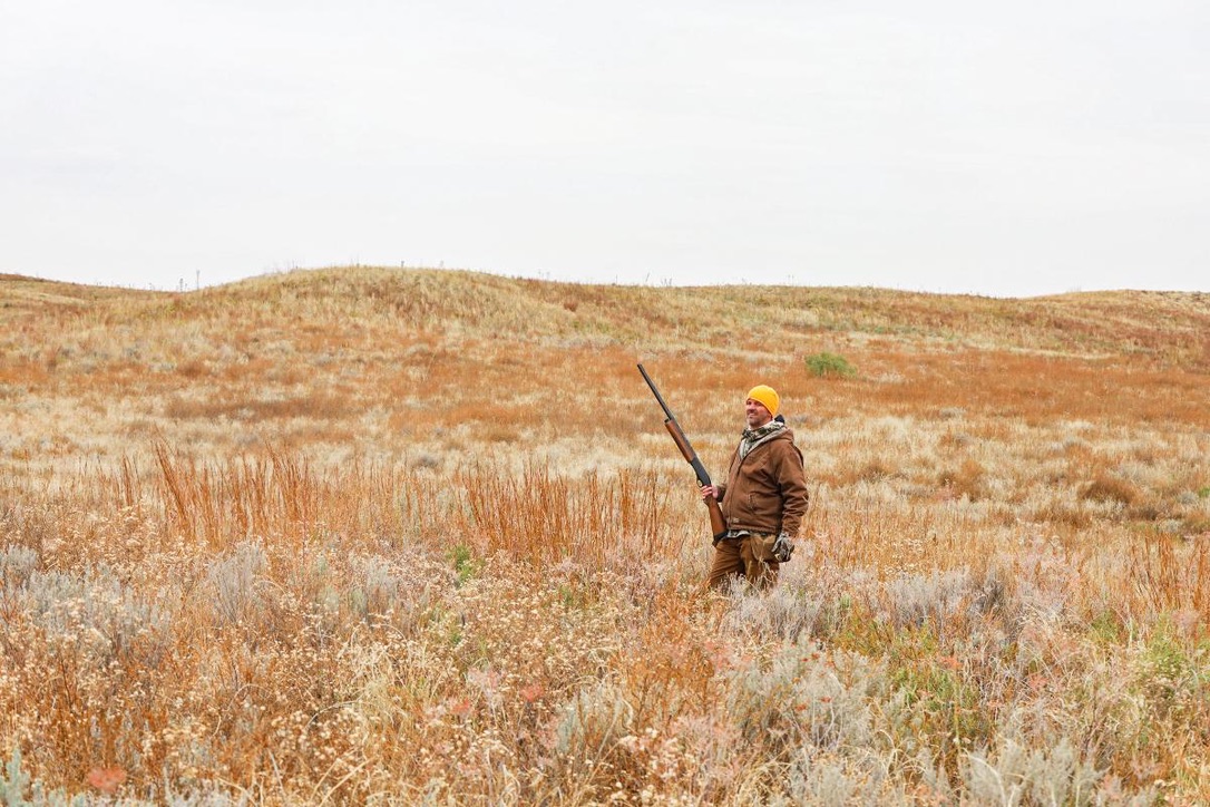 Why Summer is the Best Time to Start Planning Ahead BirdDog