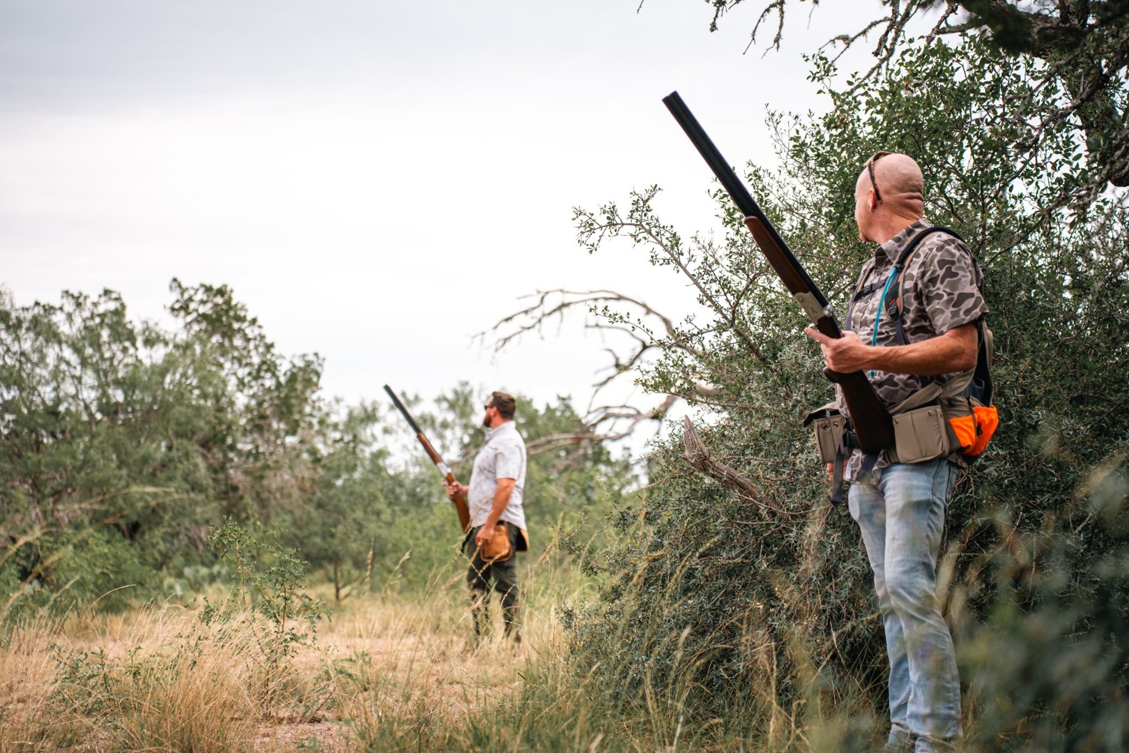 Why Texas Private Lands Are a Hunter's Dream BirdDog