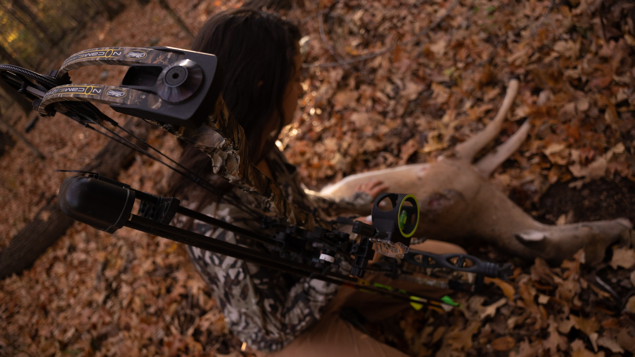 Landowner Prep for Deer Season BirdDog
