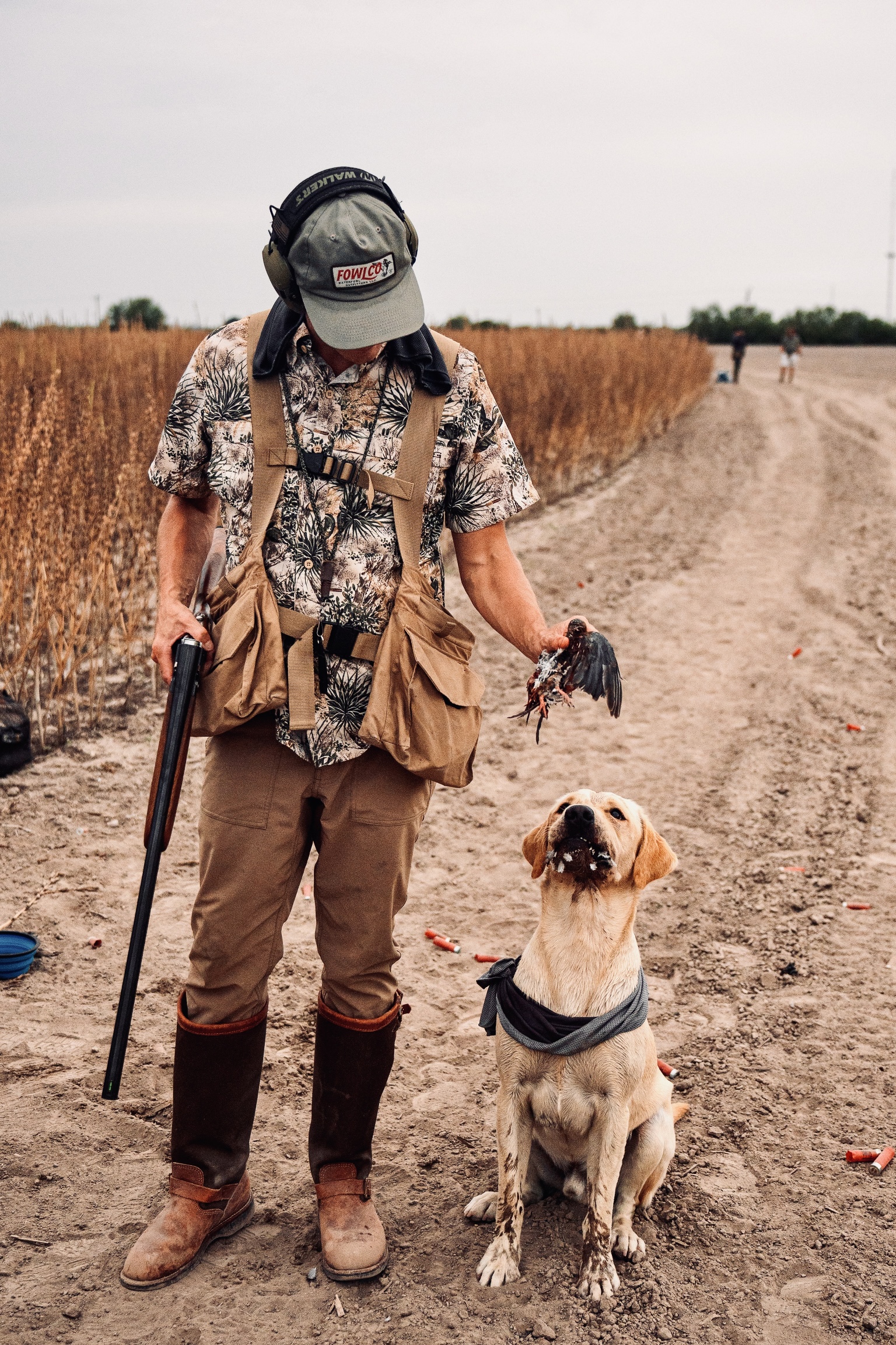 Dove Hunting in Texas BirdDog