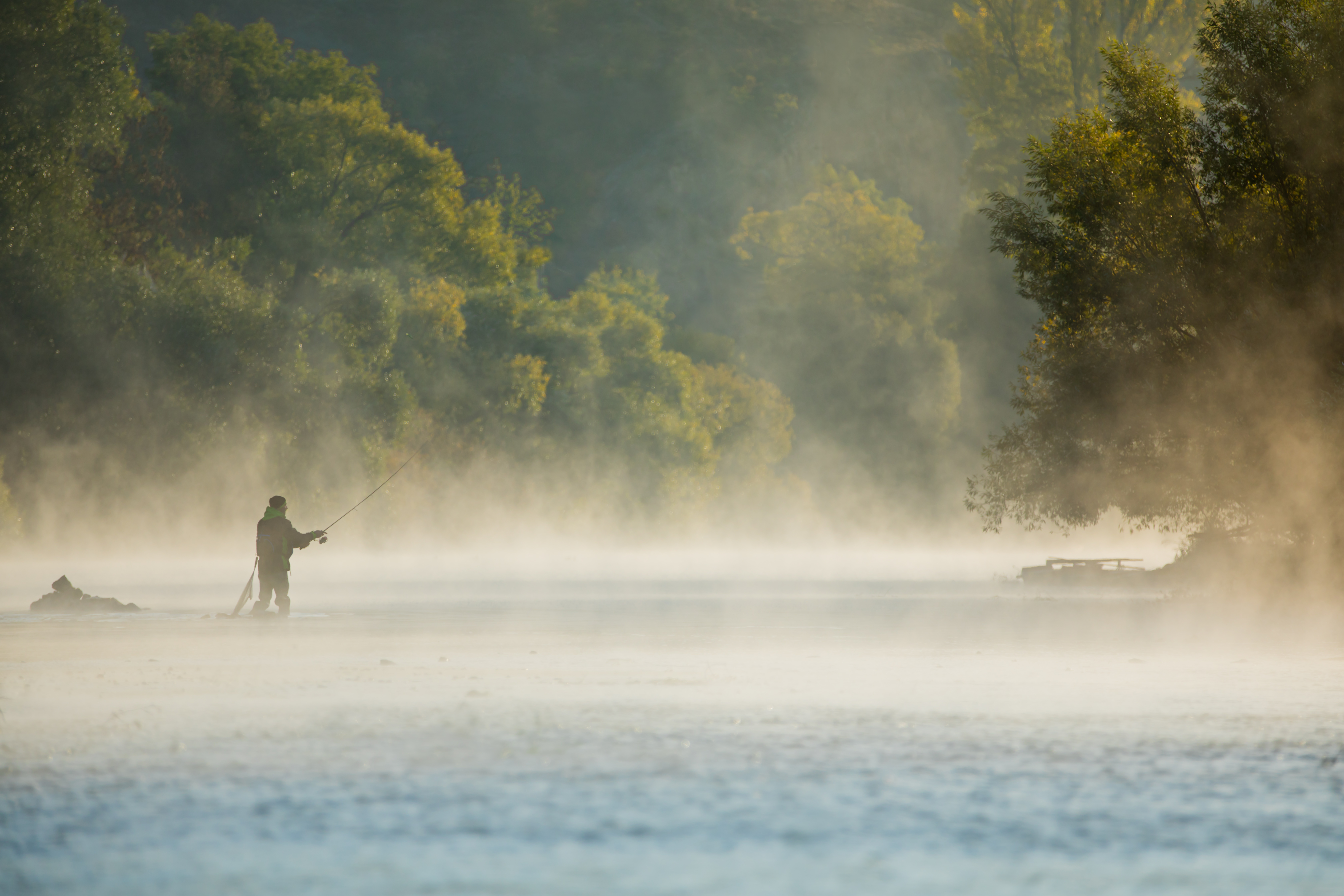 Freshwater Fly Fishing Essentials BirdDog