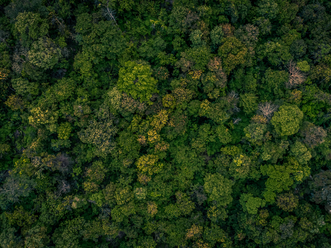 Landowner reviewing farm and ranch land  BirdDog
