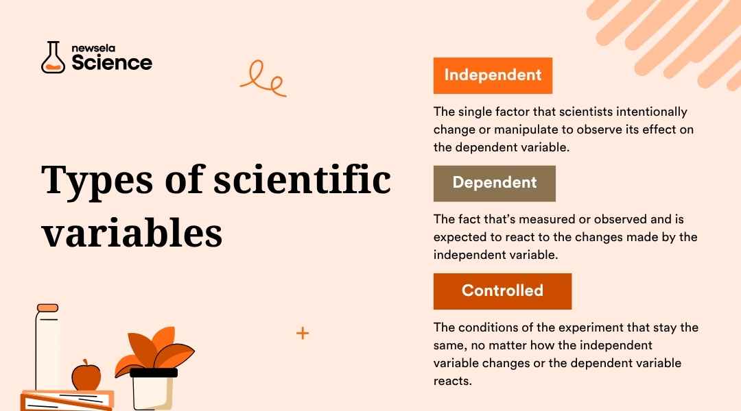 "Infographic defining types of scientific variables: Independent (manipulated factor), Dependent (measured outcome), and Controlled (conditions that stay the same). Key vocabulary for teaching scientific experiments."
