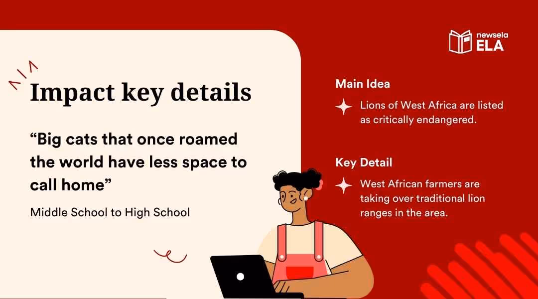 A slide from a Newsela ELA presentation on "Impact key details." It provides an example from an article titled "Big cats that once roamed the world have less space to call home." The main idea is that "Lions of West Africa are listed as critically endangered" and the key detail describes the impact of West African farmers on lion ranges.