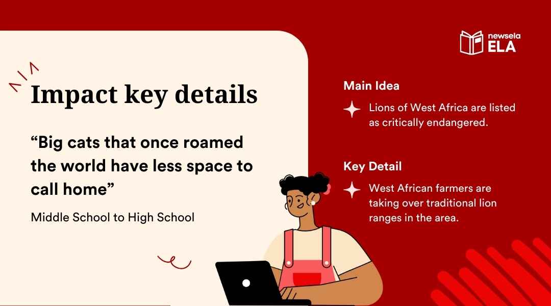 A slide from a Newsela ELA presentation on "Impact key details." It provides an example from an article titled "Big cats that once roamed the world have less space to call home." The main idea is that "Lions of West Africa are listed as critically endangered" and the key detail describes the impact of West African farmers on lion ranges.