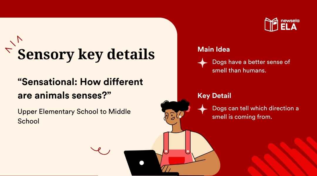A slide from a Newsela ELA presentation on "Sensory key details." It provides an example from an article titled "Sensational: How different are animals senses?" The main idea is that "Dogs have a better sense of smell than humans" and the key detail gives an example about how dogs can determine the direction of a smell.
