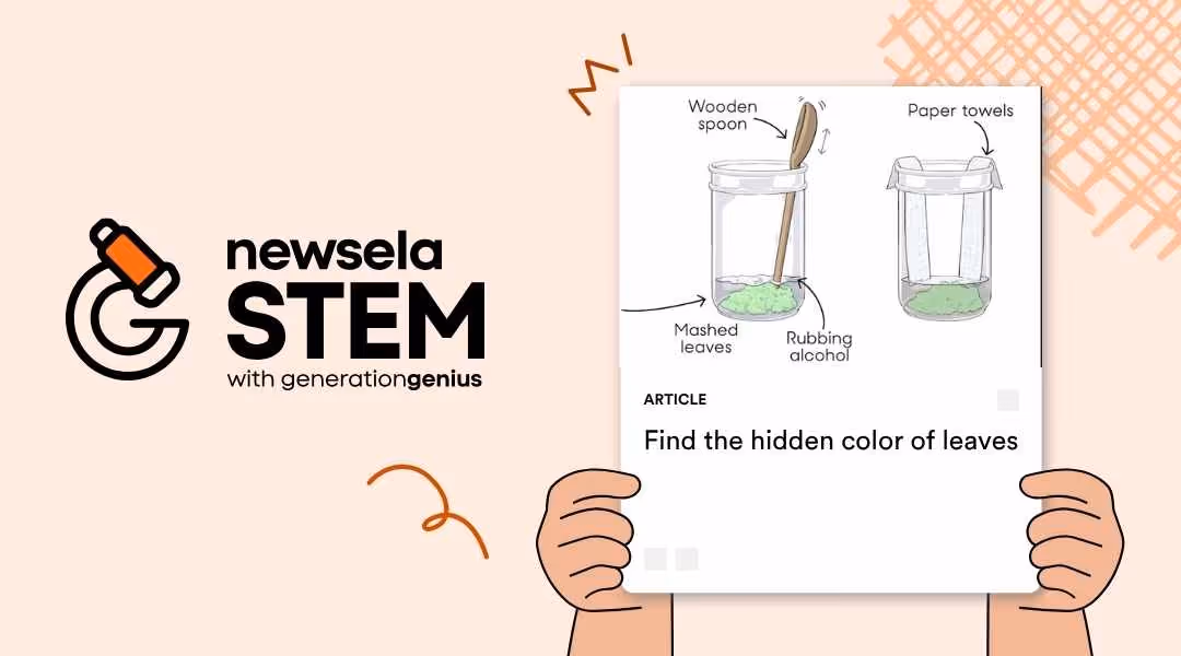 Find the hidden color of Leaves article