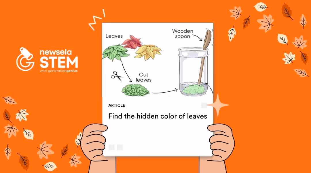 A Newsela Science graphic showing an illustration of an experiment titled "Find the hidden color of leaves." The diagram shows steps to extract color from leaves using a wooden spoon in a jar.