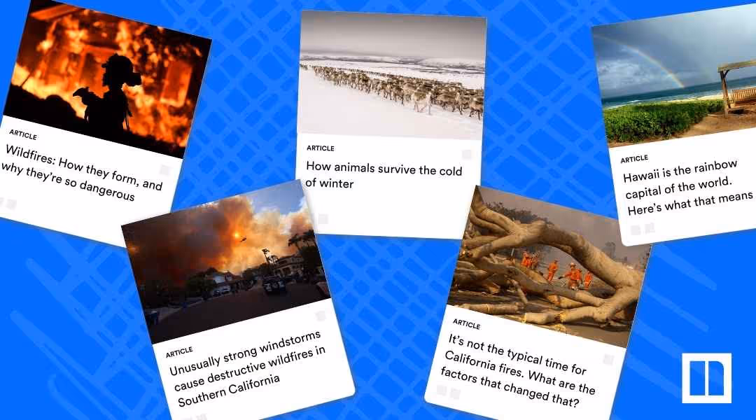 A collage of Newsela articles about the environment and climate, featuring topics like: "Wildfires: How they form, and why they're so dangerous," "How animals survive the cold of winter," "Unusually strong windstorms cause destructive wildfires in Southern California," "It's not the typical time for California fires," and "Hawaii is the rainbow capital of the world."