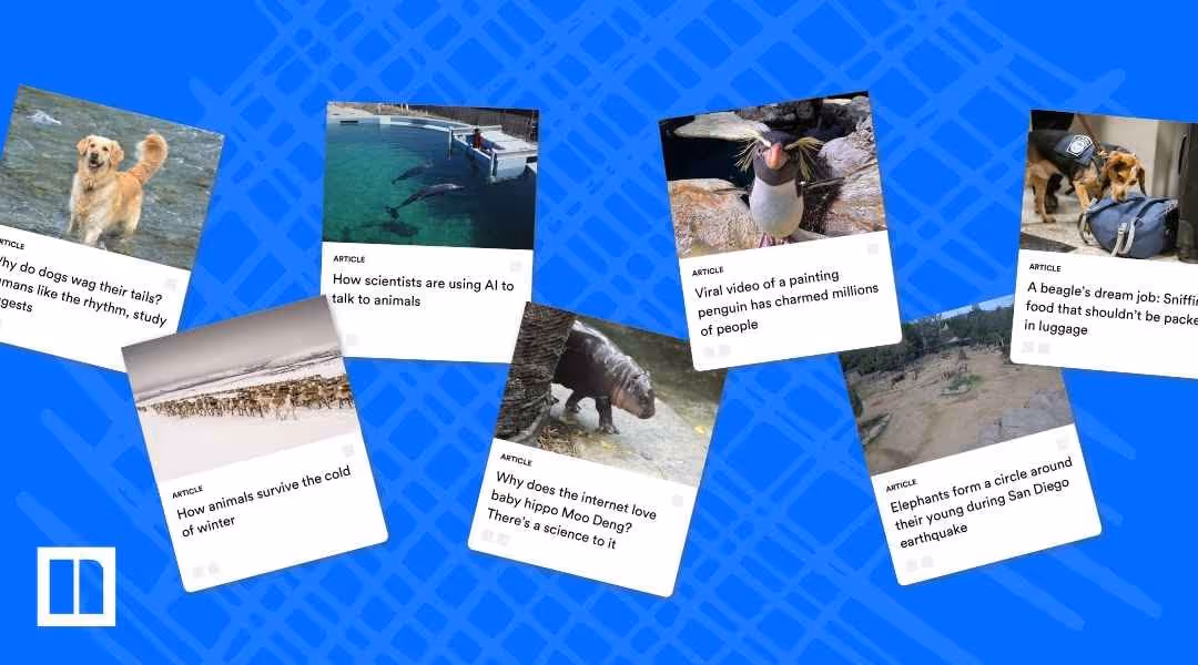 A collage of Newsela articles focusing on animal science and behavior, including "Why do dogs wag their tails?", "How scientists are using AI to talk to animals," "Viral video of a painting penguin has charmed millions of people," "A beagle's dream job: Sniffing out food that shouldn't be packed in luggage," "How animals survive the cold of winter," "Why does the internet love baby hippo Moo Deng?", and "Elephants form a circle around their young during San Diego earthquake."