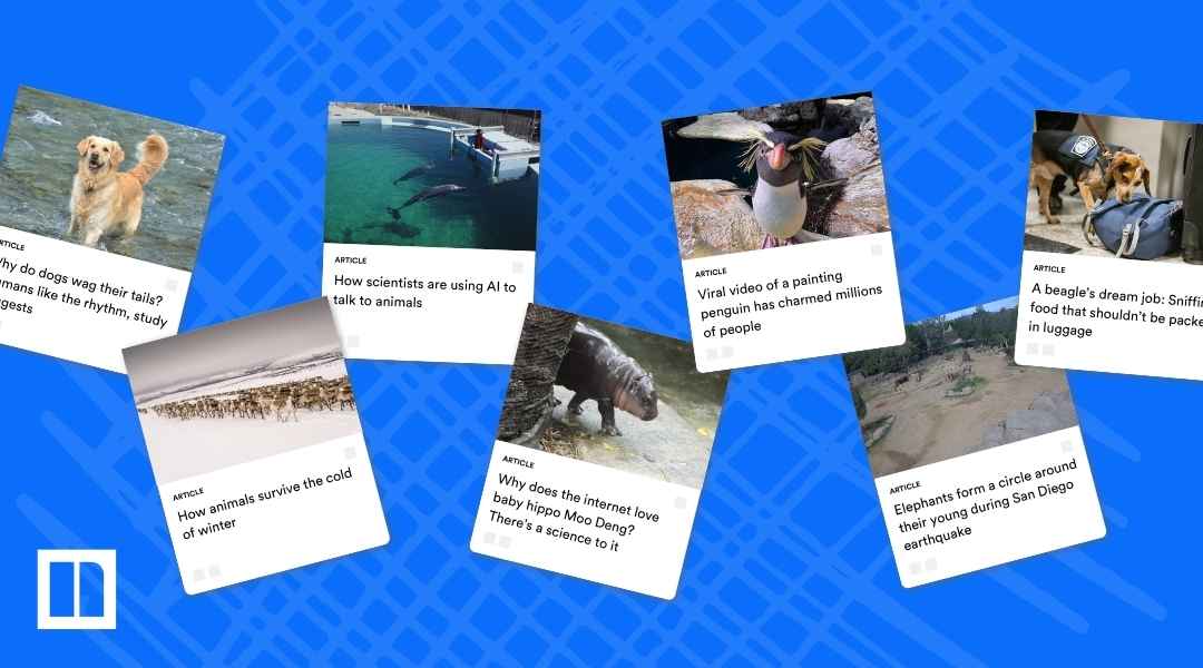 A collage of Newsela articles focusing on animal science and behavior, including "Why do dogs wag their tails?", "How scientists are using AI to talk to animals," "Viral video of a painting penguin has charmed millions of people," "A beagle's dream job: Sniffing out food that shouldn't be packed in luggage," "How animals survive the cold of winter," "Why does the internet love baby hippo Moo Deng?", and "Elephants form a circle around their young during San Diego earthquake."
