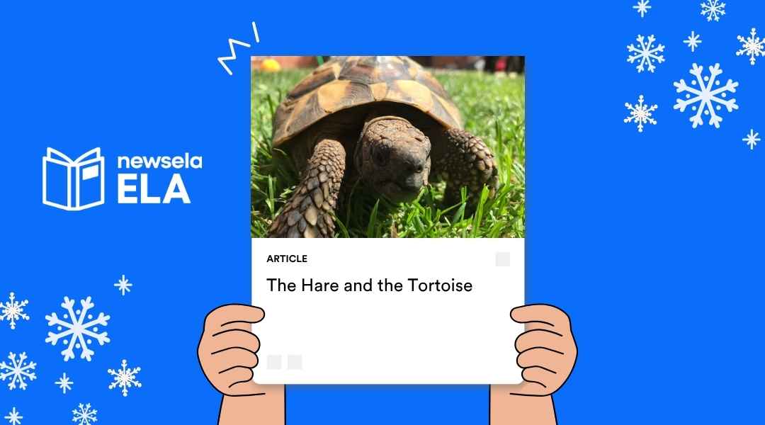A Newsela ELA graphic with an article titled "The Hare and the Tortoise." The image is a close-up photo of a tortoise crawling in green grass.