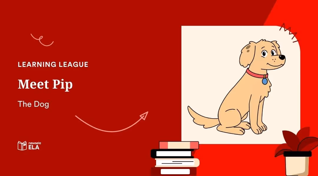 Educational graphic titled Meet Pip, The Dog. A friendly golden-colored cartoon dog wearing a red collar with a blue tag.