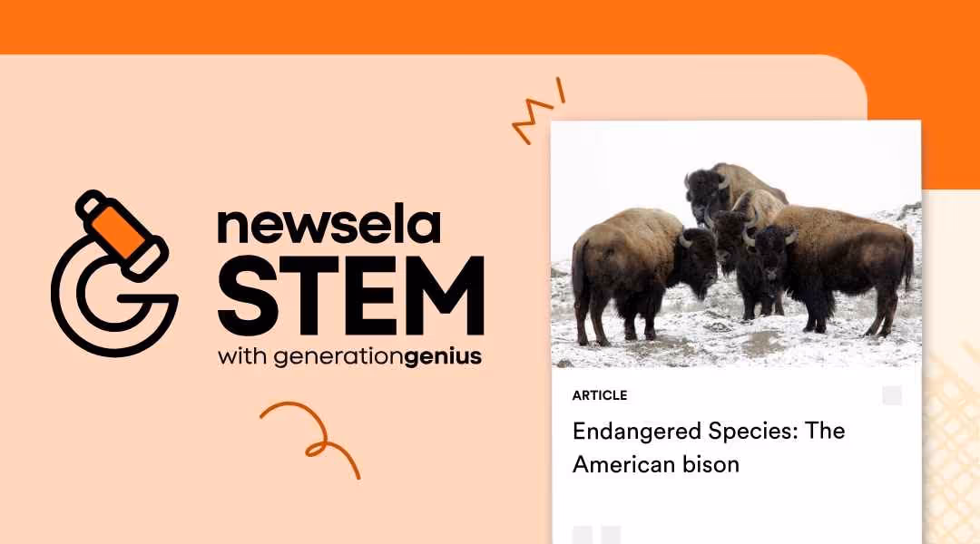 Newsela STEM article titled "Endangered Species: The American bison" featuring a small herd of bison standing in a snowy landscape.