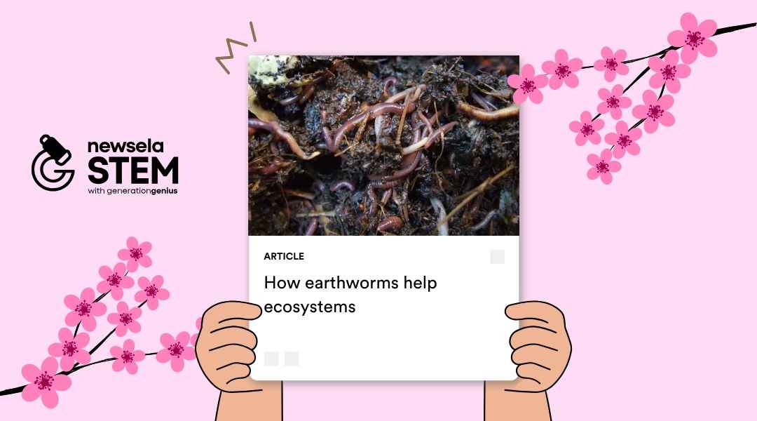 A Newsela STEM article titled "How earthworms help ecosystems" featuring a close-up photo of several earthworms in dark, moist soil.