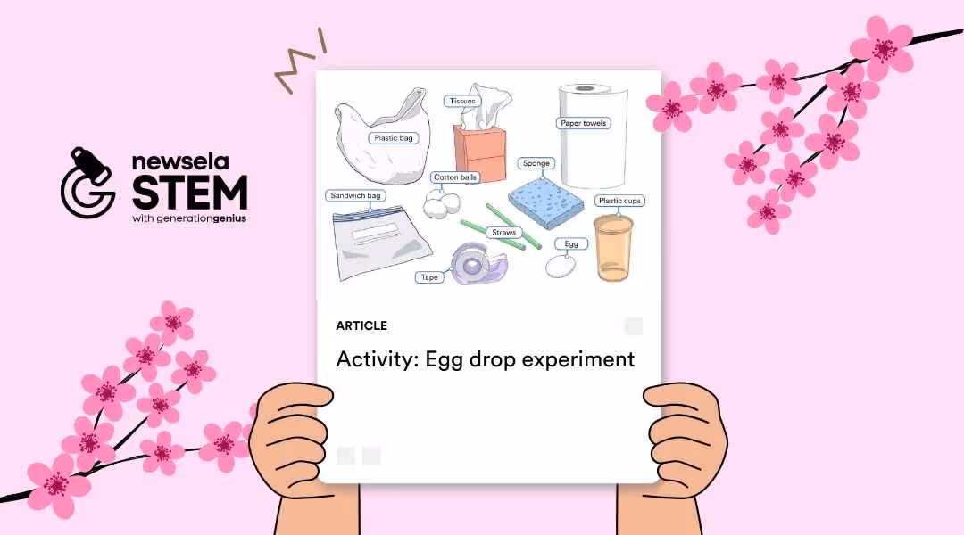 A Newsela STEM article cover titled "Activity: Egg Drop Experiment" featuring an illustration of various household supplies including a plastic bag, tissues, paper towels, cotton balls, sponges, straws, tape, and a plastic cup surrounding a single egg.