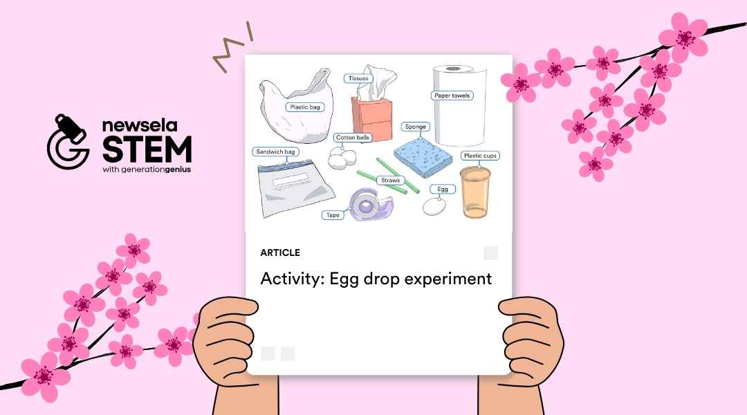 A Newsela STEM article cover titled "Activity: Egg Drop Experiment" featuring an illustration of various household supplies including a plastic bag, tissues, paper towels, cotton balls, sponges, straws, tape, and a plastic cup surrounding a single egg.