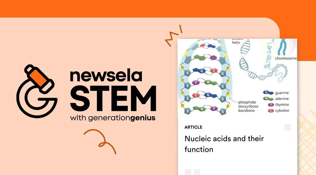 Newsela STEM article titled "Nucleic acids and their function" featuring a detailed scientific diagram of a DNA double helix, phosphate backbone, and base pairs.