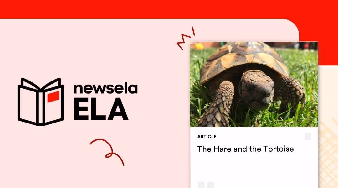 Newsela ELA article titled "The Hare and the Tortoise" showing a close-up of a tortoise in the grass.