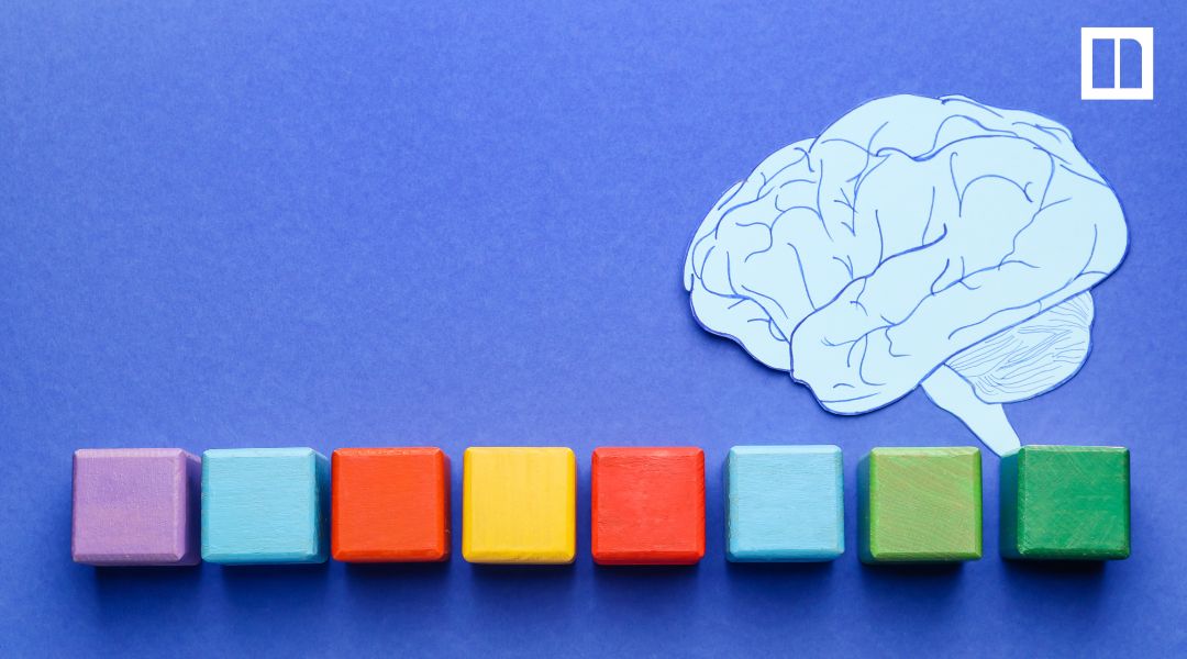 Colorful learning blocks and a paper brain illustration representing high school psychology concepts.
