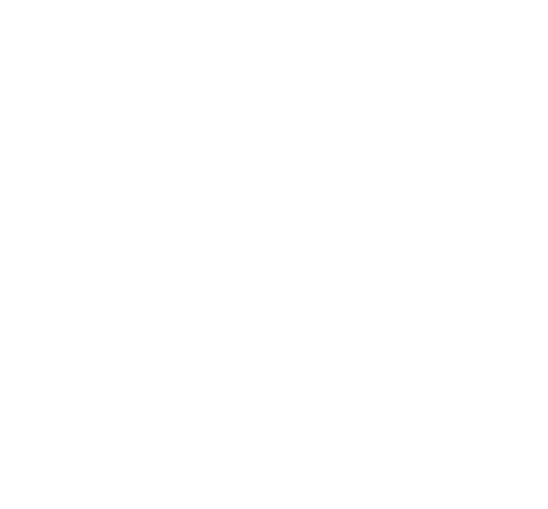 Asset 10 - pattern