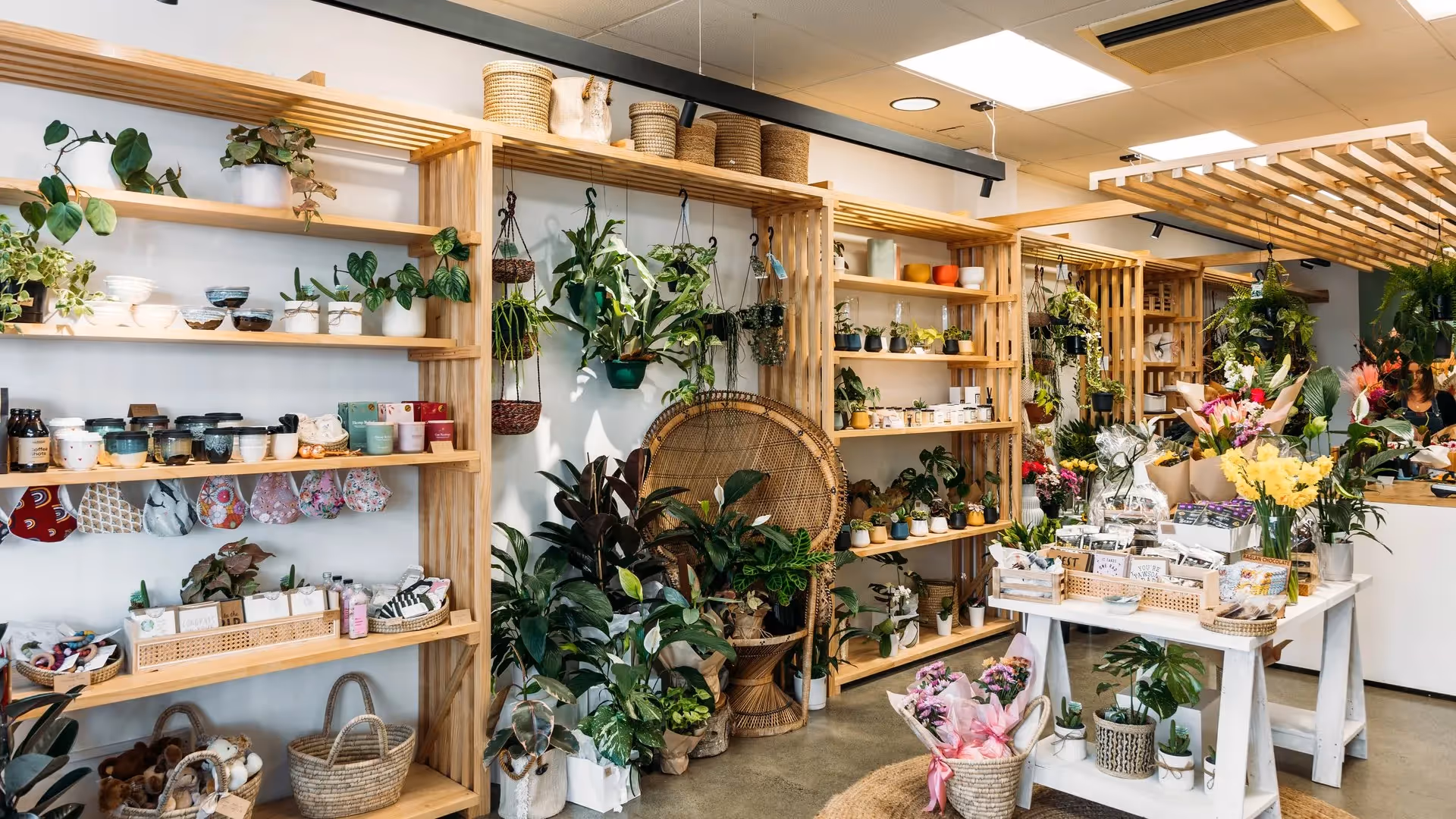 A vibrant plant shop in Hamilton featuring wooden shelving adorned with various potted plants, decorative pots, and flowers. Bright greenery and floral displays create a welcoming atmosphere, highlighting local businesses and community spirit.