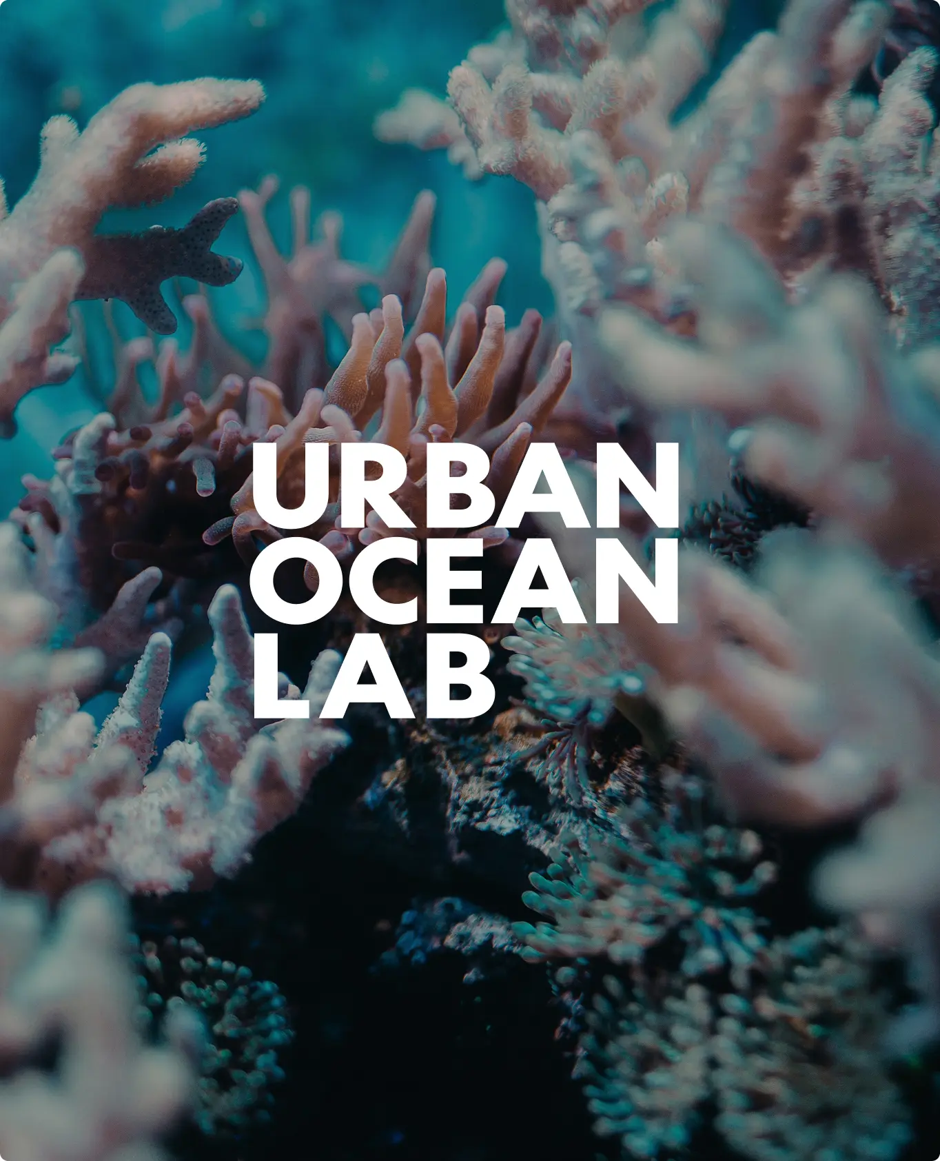 An underwater coral reef scene with hands reaching upward through white and orange coral formations against a blue-green background. Bold white text reading "URBAN OCEAN LAB" is overlaid on the marine environment