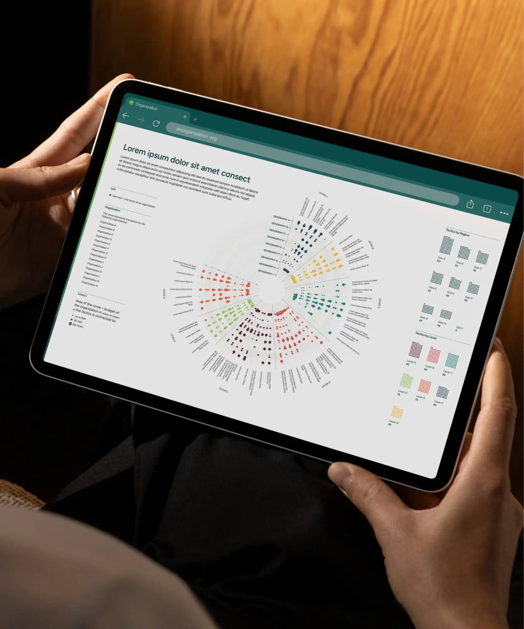 Hands holding an iPad displaying the food-climate funding ecosystem radial dot map on a warm wood background.