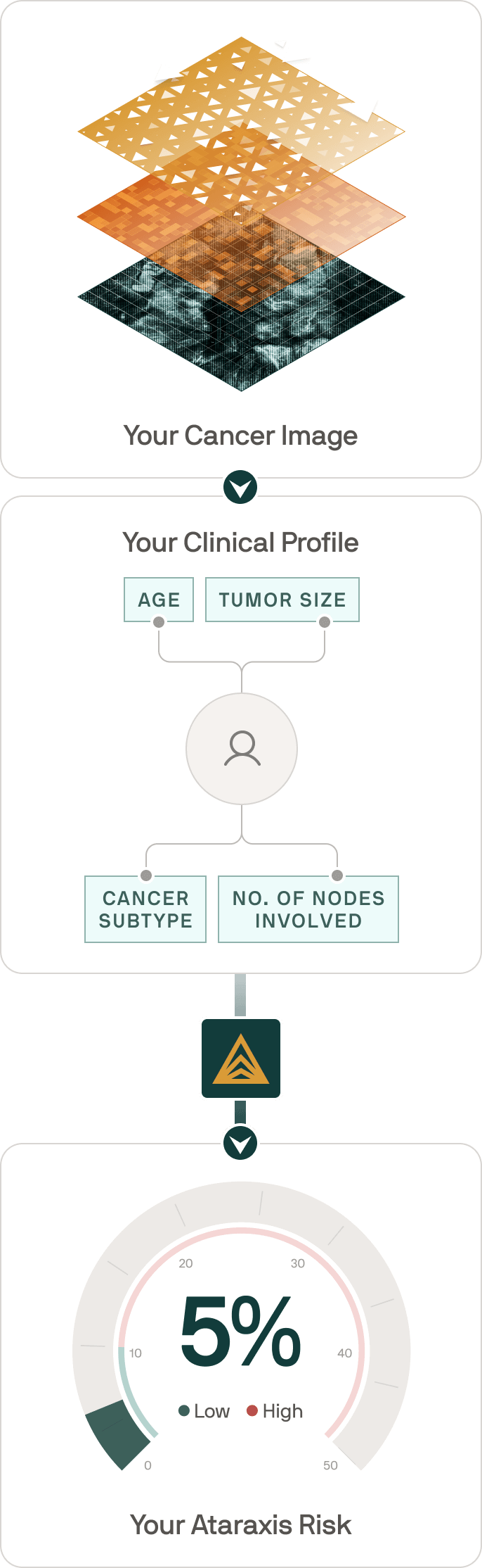 how ataraxis breast works