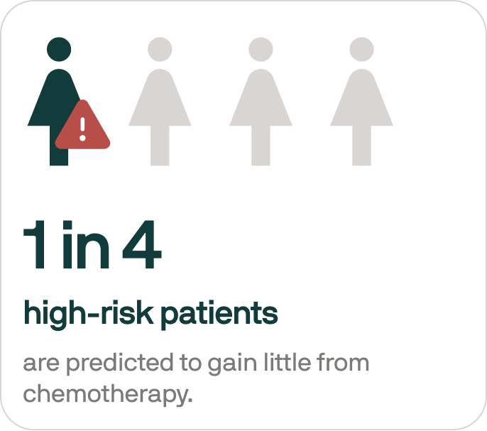 Graphic showing one in four female icons, with one marked in dark color and a warning triangle, representing high-risk patients predicted to gain little from chemotherapy.