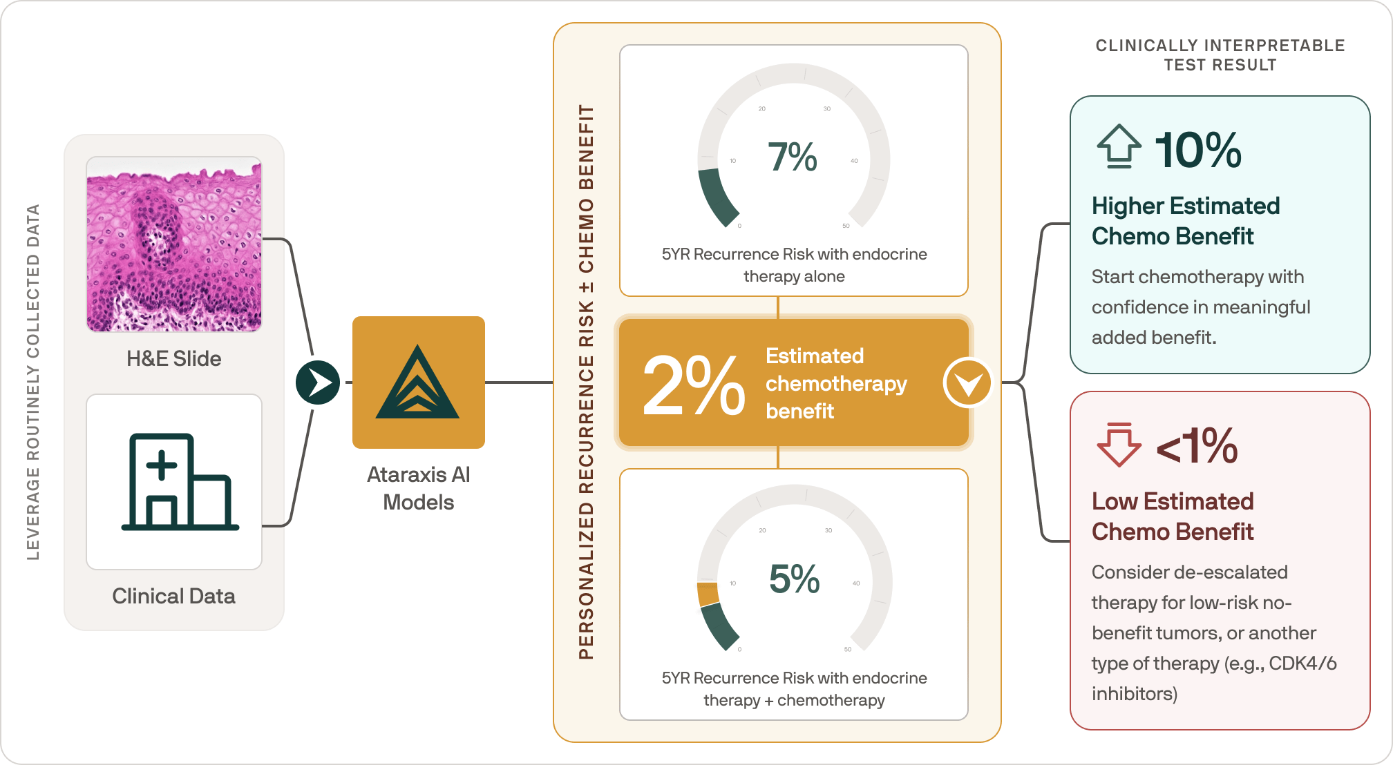 Flowchart showing how Ataraxis AI models use H&E slide and clinical data to estimate personalized 5-year recurrence risk and chemotherapy benefit, highlighting a 2% estimated chemo benefit with clinical recommendations based on the result.