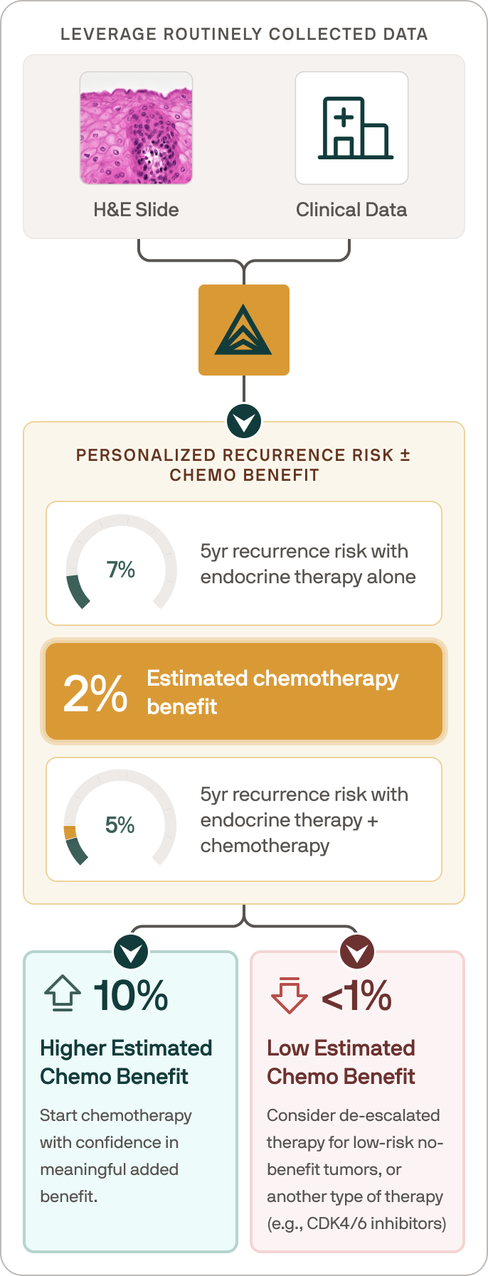 Flowchart showing use of H&E slide and clinical data to personalize recurrence risk and chemotherapy benefit, with examples of 7% recurrence risk with endocrine therapy alone, 2% estimated chemotherapy benefit, 5% recurrence risk with endocrine therapy plus chemotherapy, and decision paths for higher or low estimated chemo benefit.