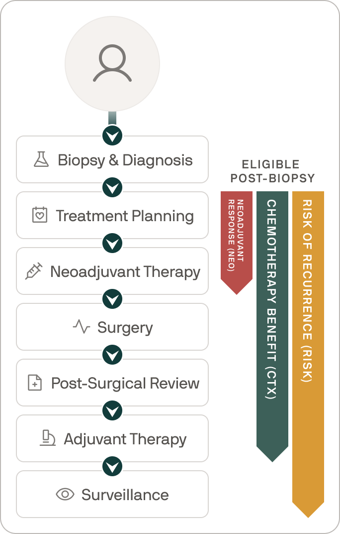Flowchart illustrating a medical treatment process starting with biopsy and diagnosis, followed by treatment planning, neoadjuvant therapy, surgery, post-surgical review, adjuvant therapy, and surveillance, alongside indicators of neoadjuvant response, chemotherapy benefit, and risk of recurrence.