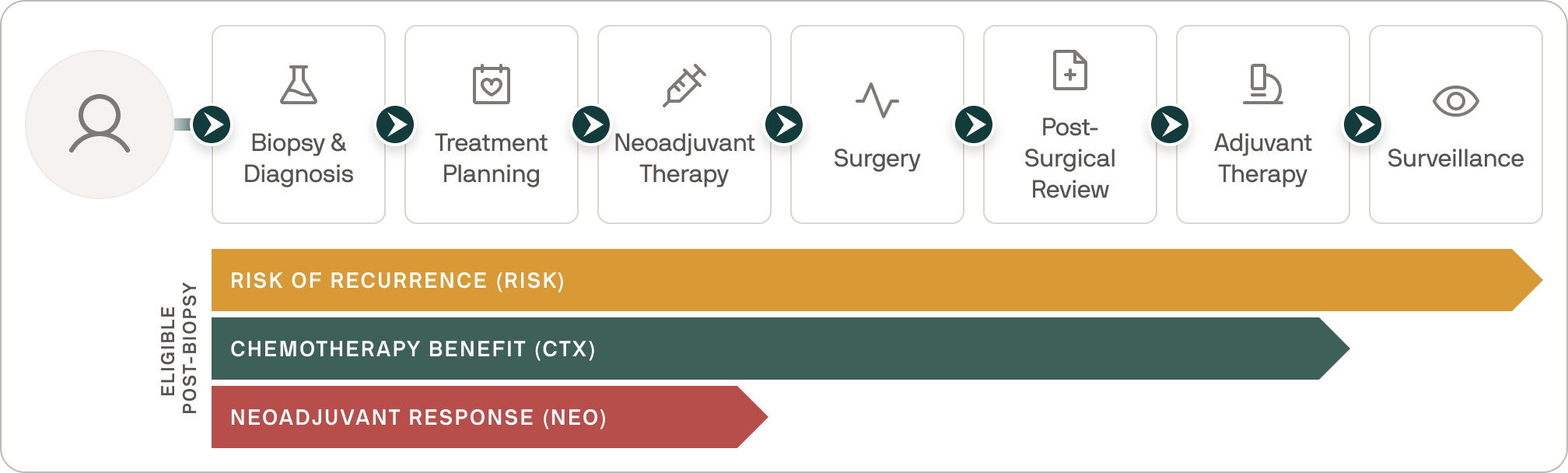 Diagram showing cancer patient journey from biopsy and diagnosis through treatment planning, neoadjuvant therapy, surgery, post-surgical review, adjuvant therapy, to surveillance, with risk of recurrence, chemotherapy benefit, and neoadjuvant response timelines.