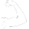 a graphic showing a muscle in an icon format