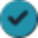 checkBox Icon