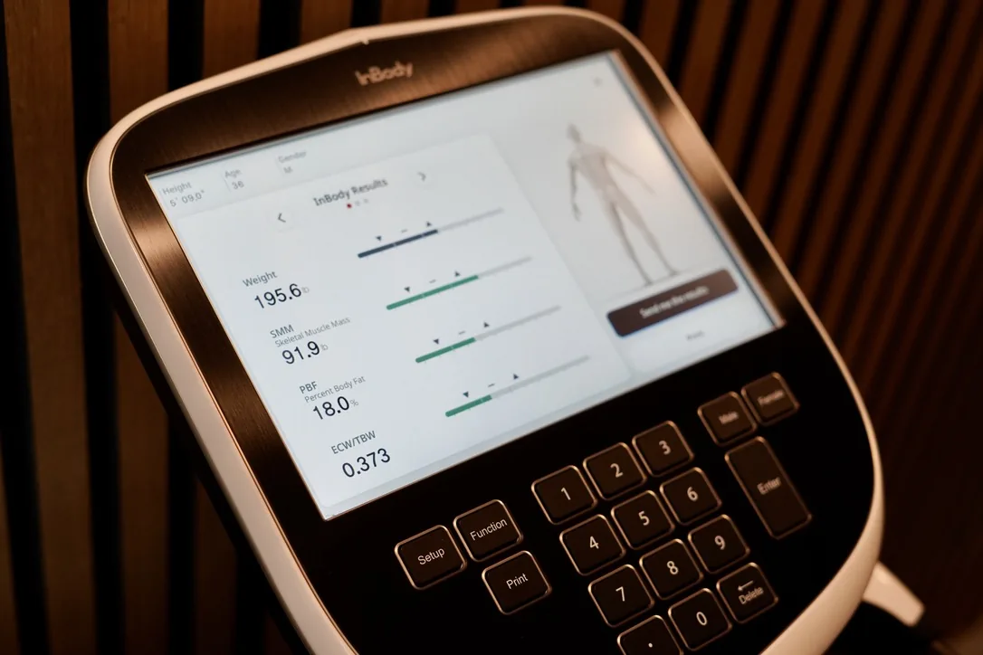 InBody body composition results showing weight, skeletal muscle mass and body fat percentage