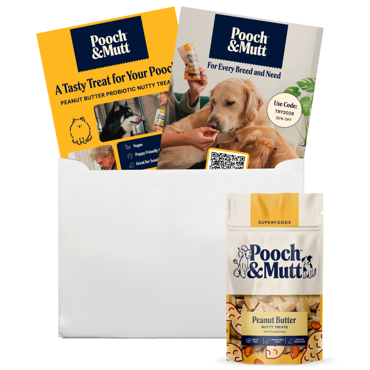 Sampl dashboard showing petcare campaign results