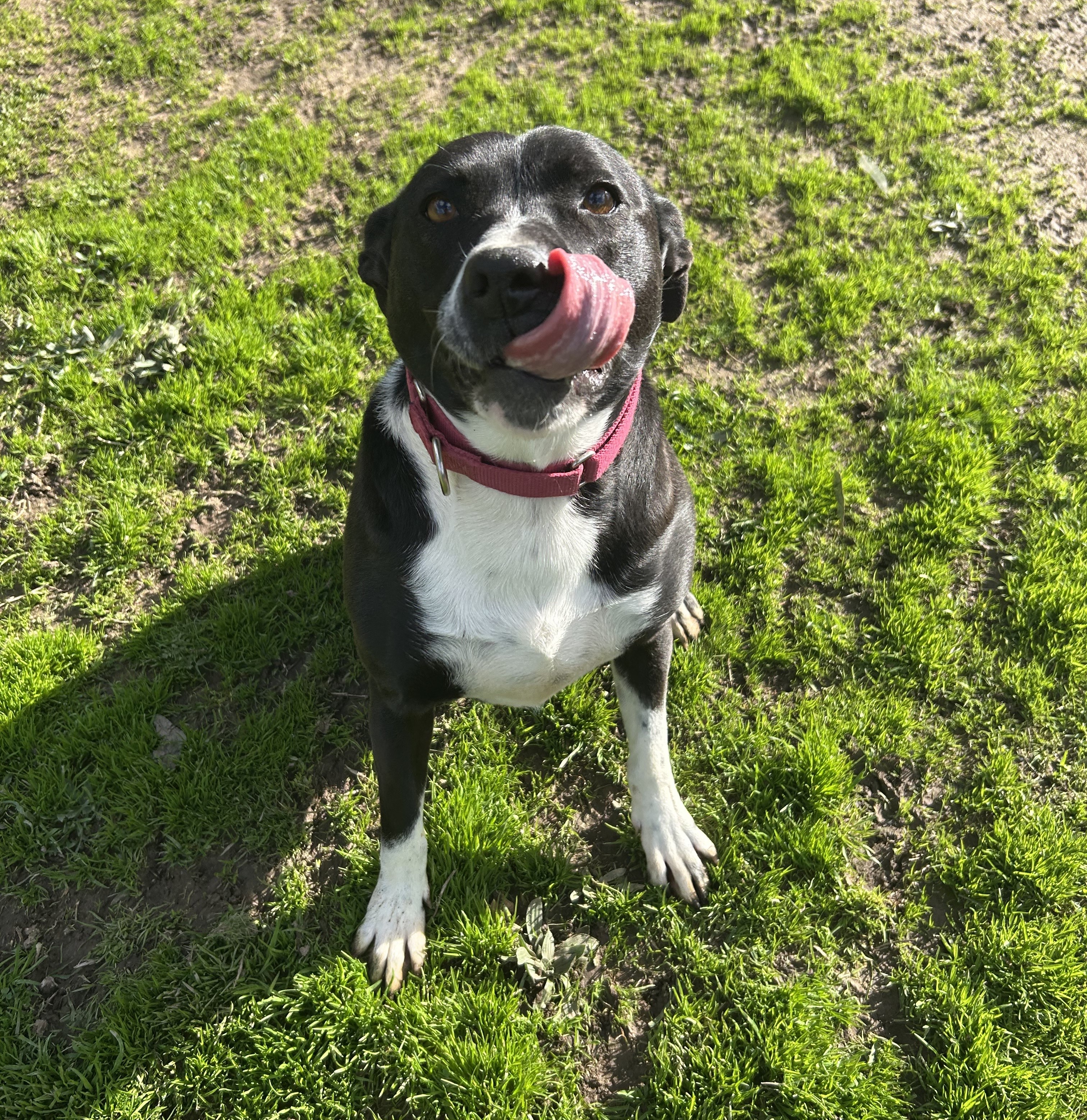 Lily