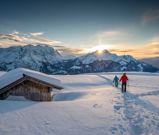 Domaine skiable Braunbär Hotel & Spa à Wengen