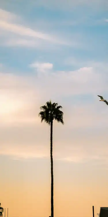Swiss flag mountain Braunbär Hotel & Spa in Wengen