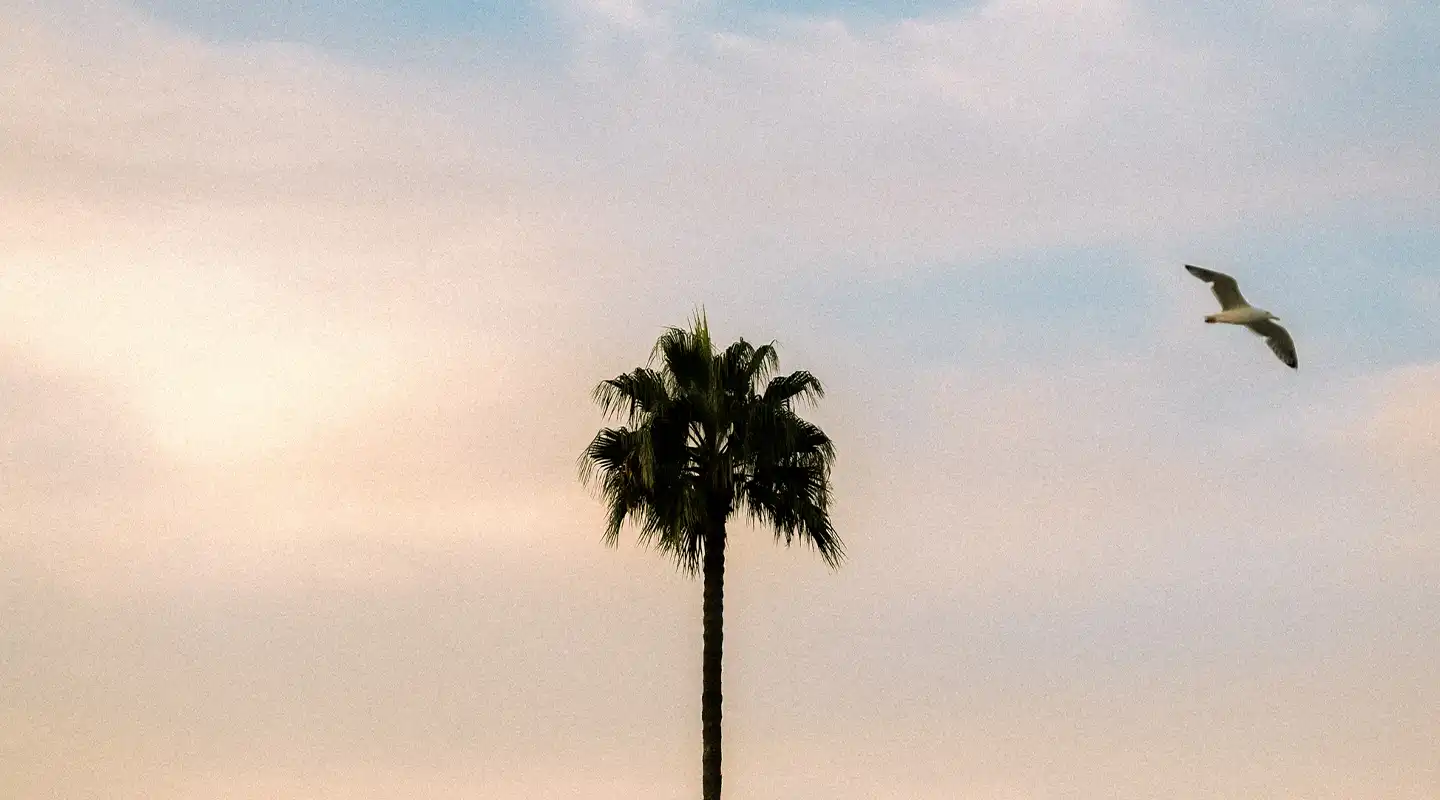 Swiss flag mountain Braunbär Hotel & Spa in Wengen
