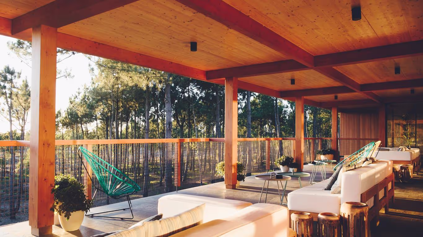 A wooden terrace features white sofas and green, woven chairs. Small tables hold potted plants. The background showcases tall trees, illuminated by golden sunlight, creating a serene outdoor atmosphere.