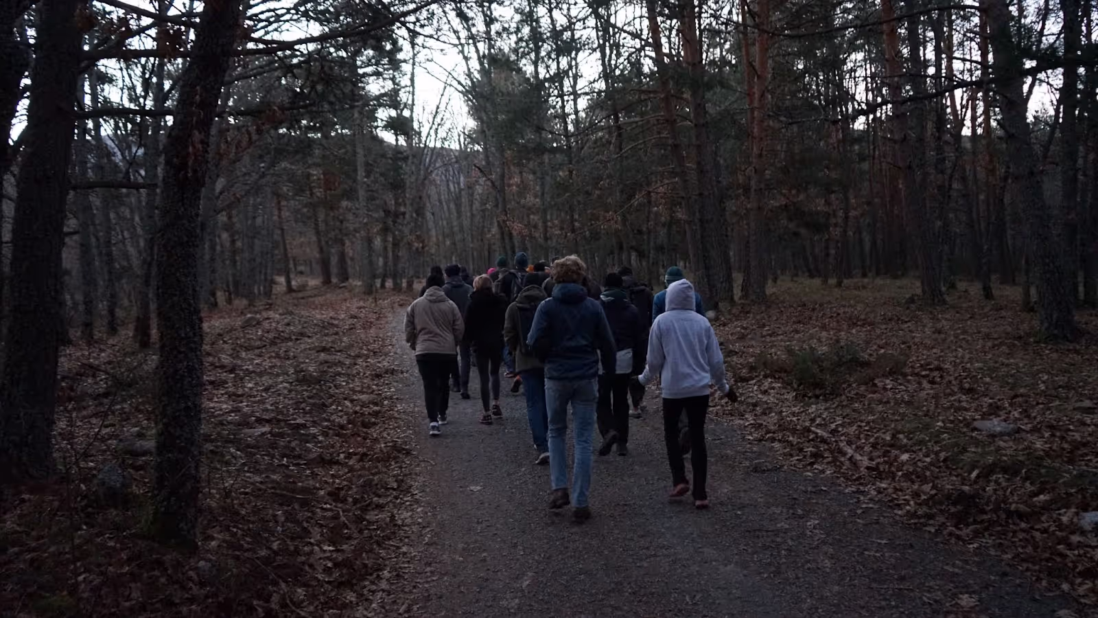A group of people walks along a forest trail, surrounded by tall trees and fallen leaves, under a dimly lit sky.