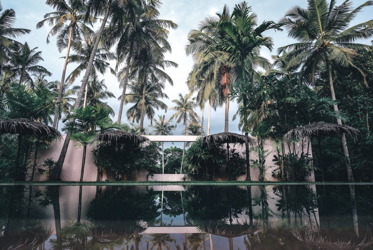 The pool and lawn at Palm