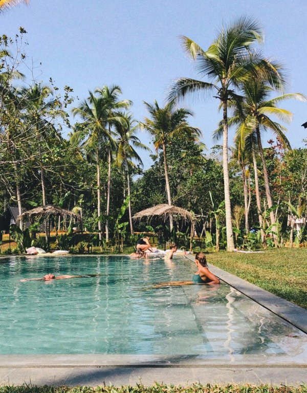 The pool at Palm