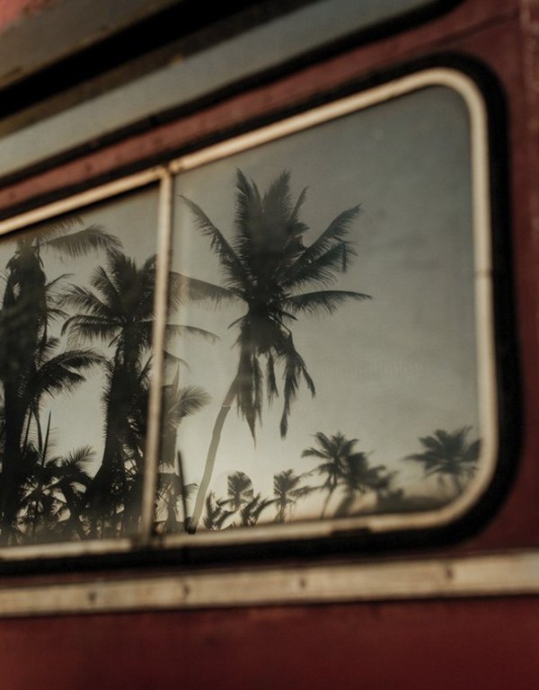 View from a Sri Lankan bus