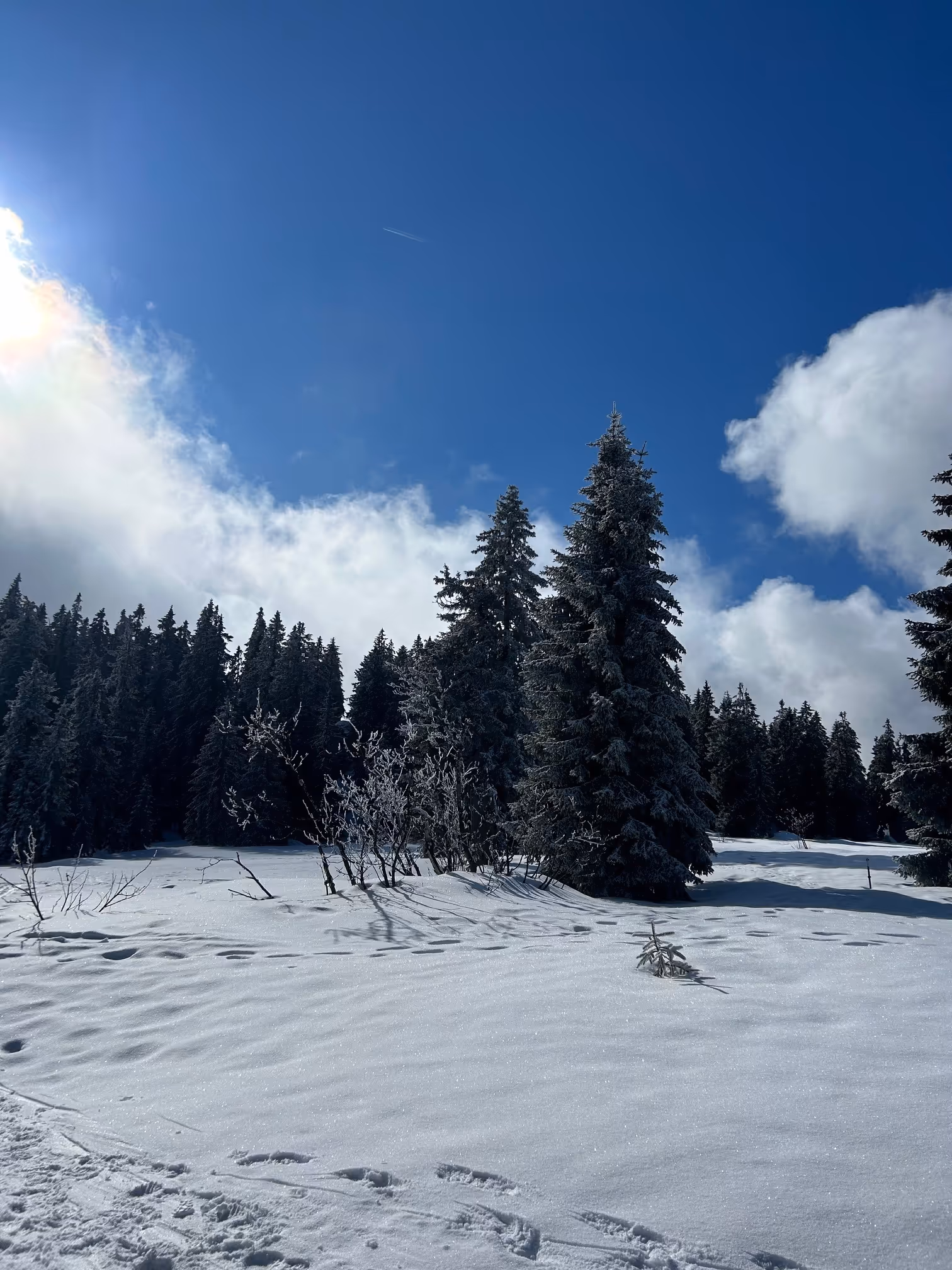 Der Große Arber ist ein Highlight für jeden Wanderfreund