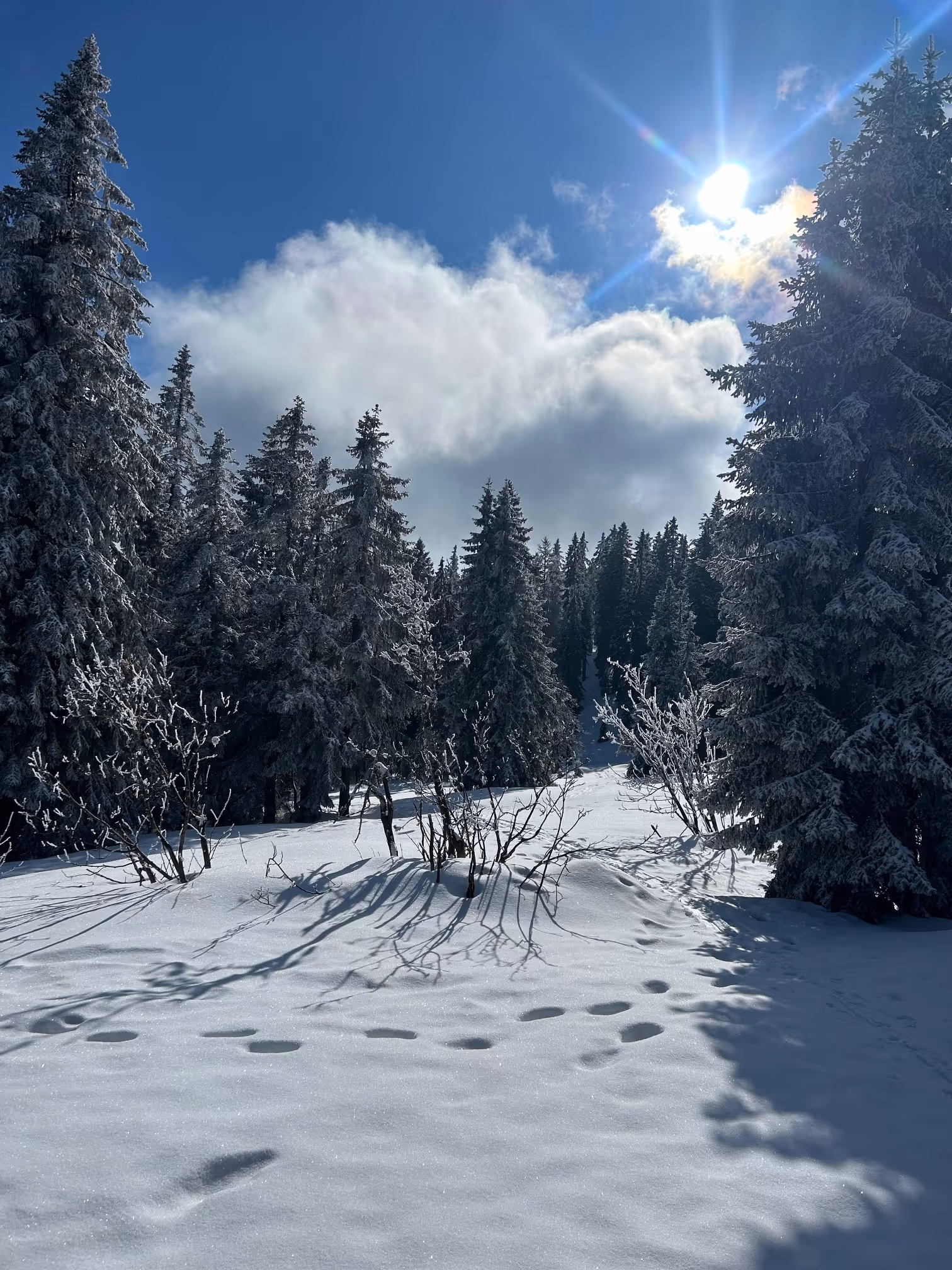 traumhaft schön winterliche Kulisse