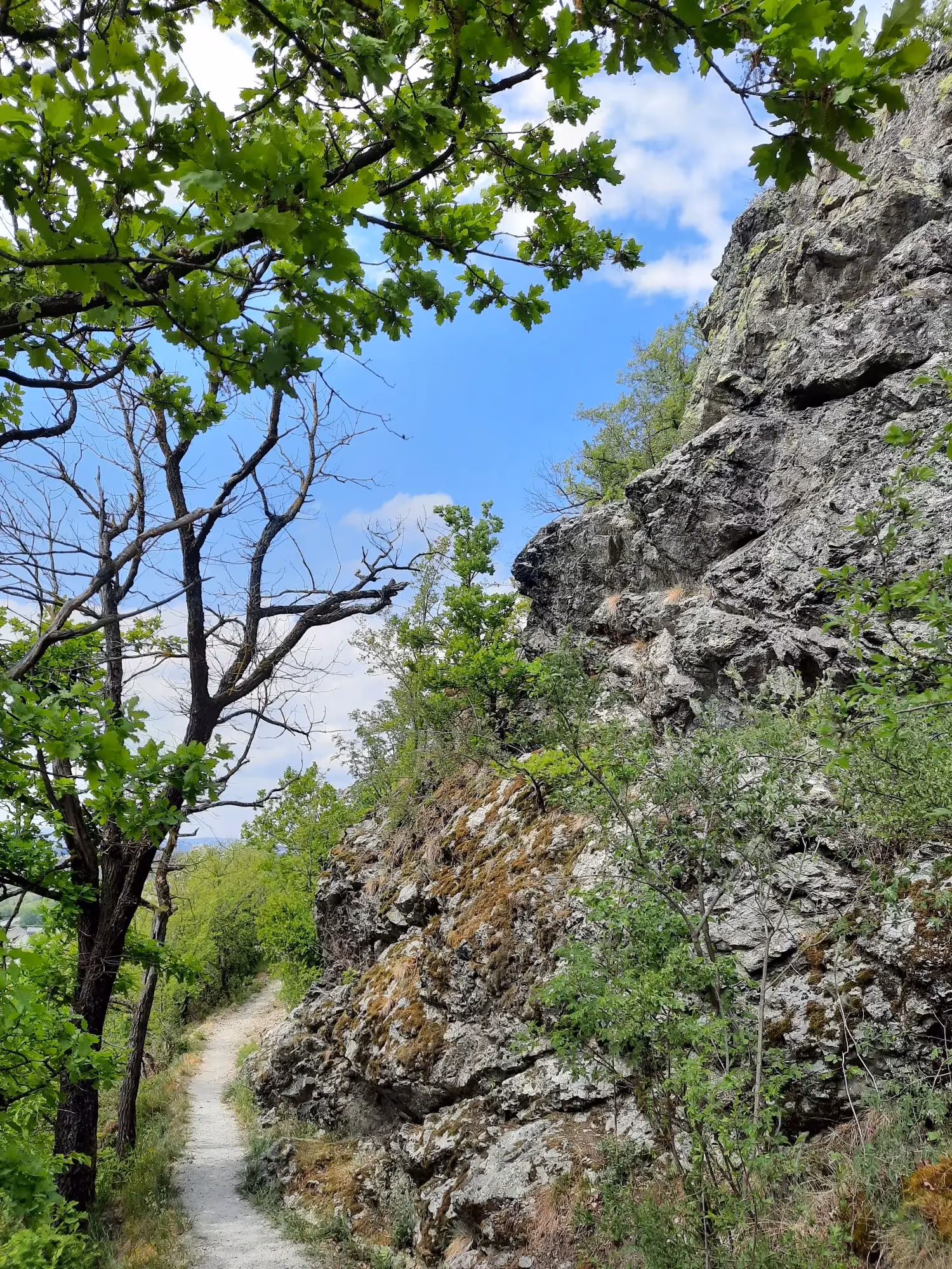 Ausblick auf das Donautal